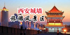 大鸡巴操的好爽啊男操男视频中国陕西-西安城墙旅游风景区
